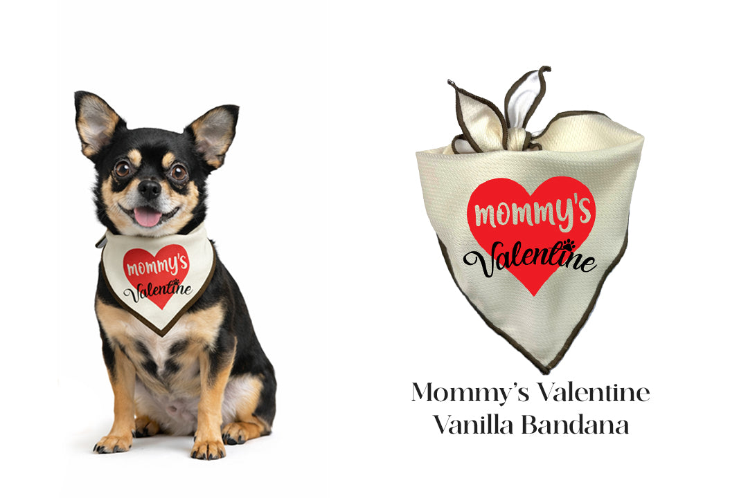 Spring Bandana Bundle | 3 Pack