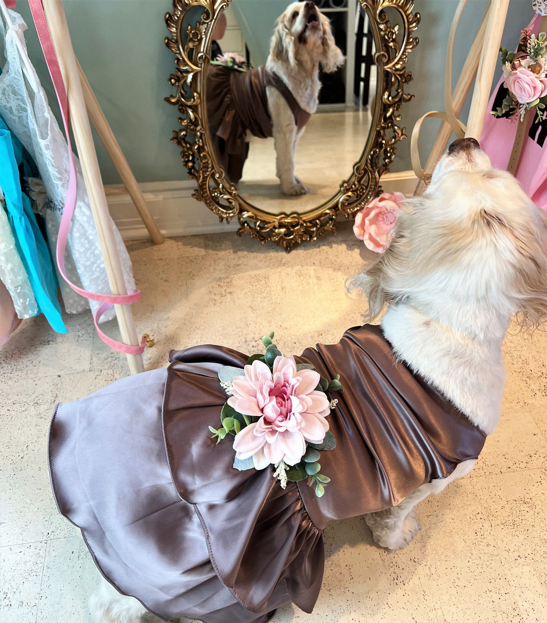 Formal Dog Dress | The Mina Dress / XXL Dress Formal Dog Dress | The Mina Dress / XXL Dress