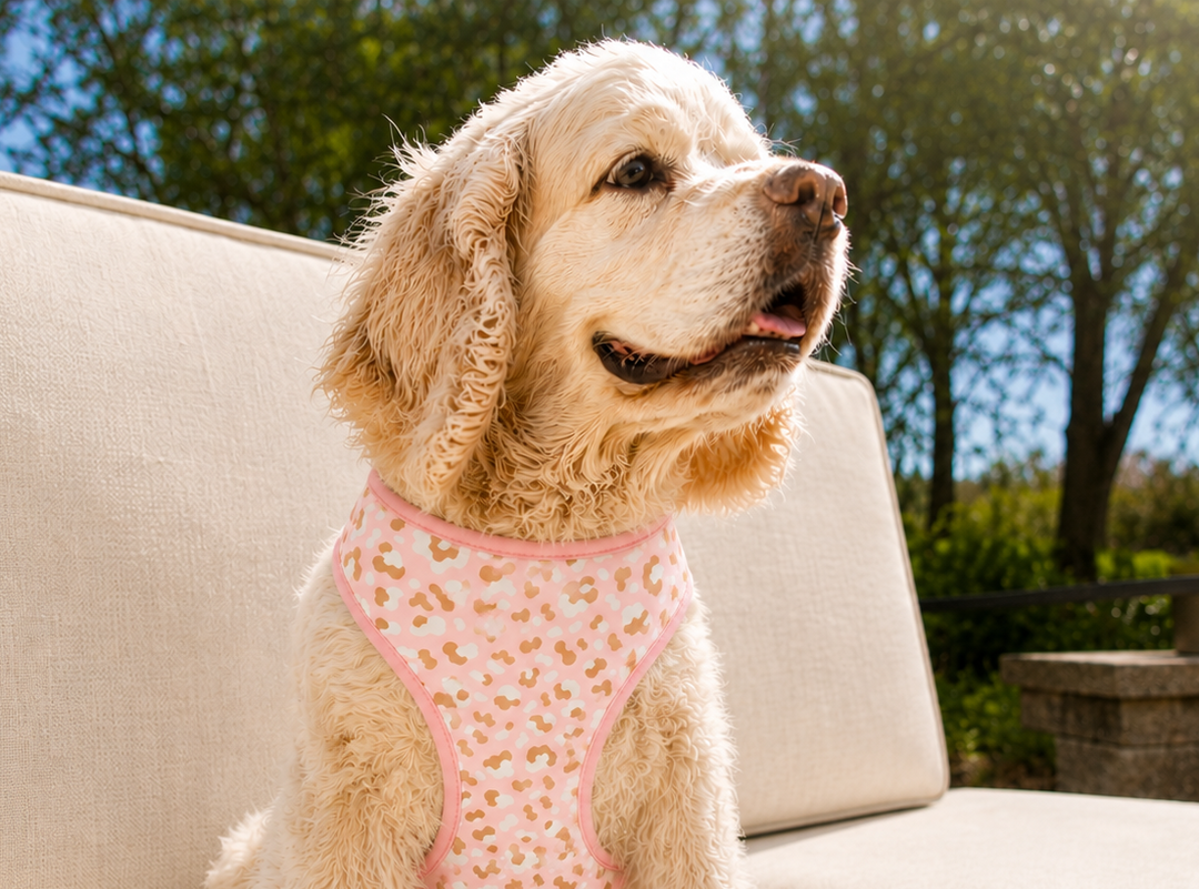 Copy For Testing Pink Vanilla Cheetah Personalized Pet Collar