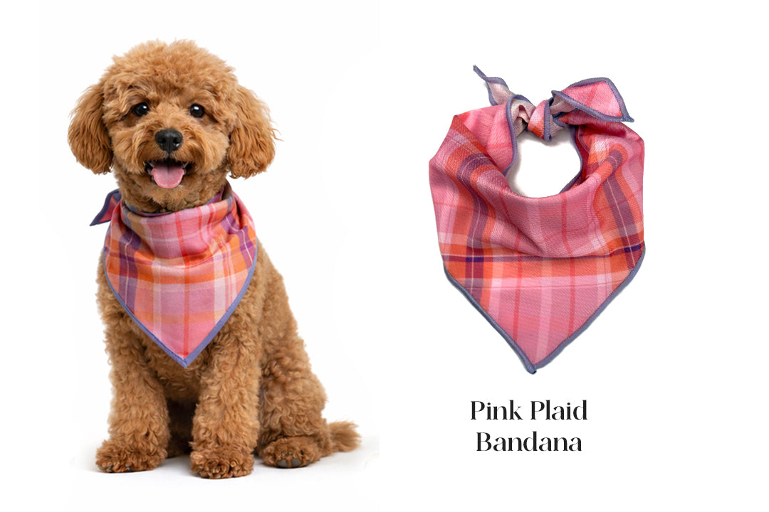 Spring Bandana Bundle | 3 Pack