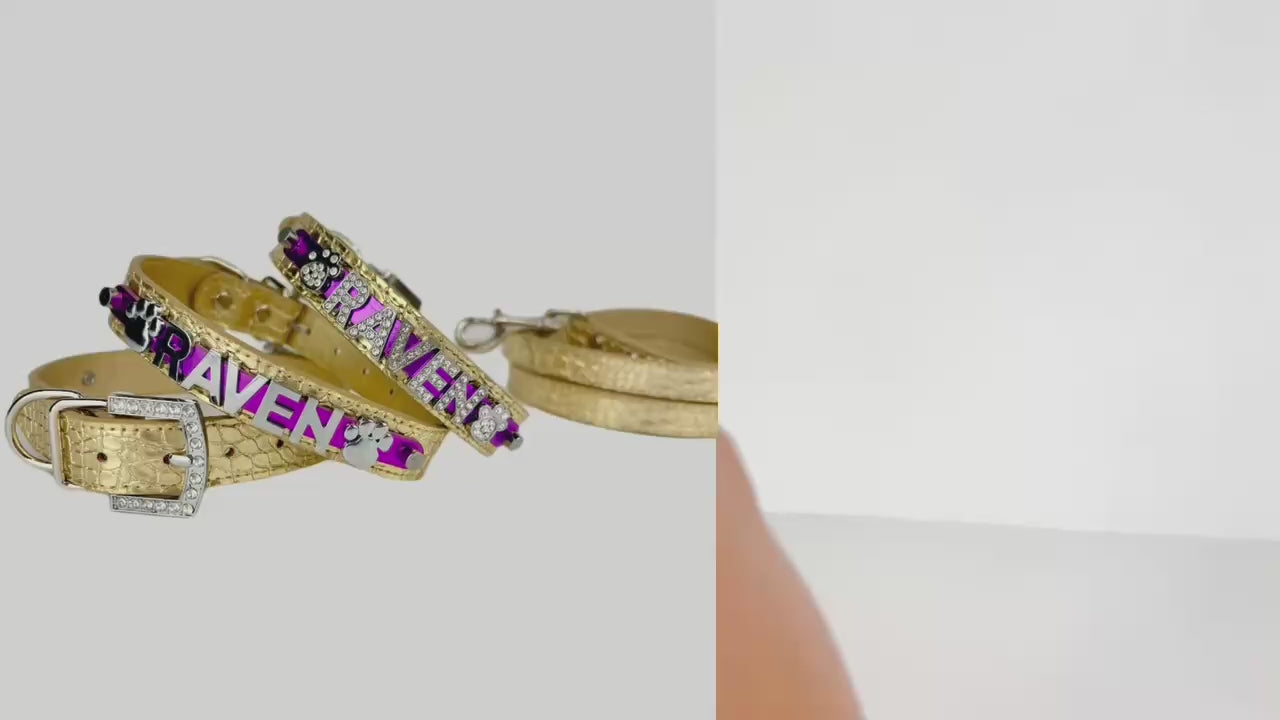 Gold Spirit Series Personalized Collar | 9 Color Options