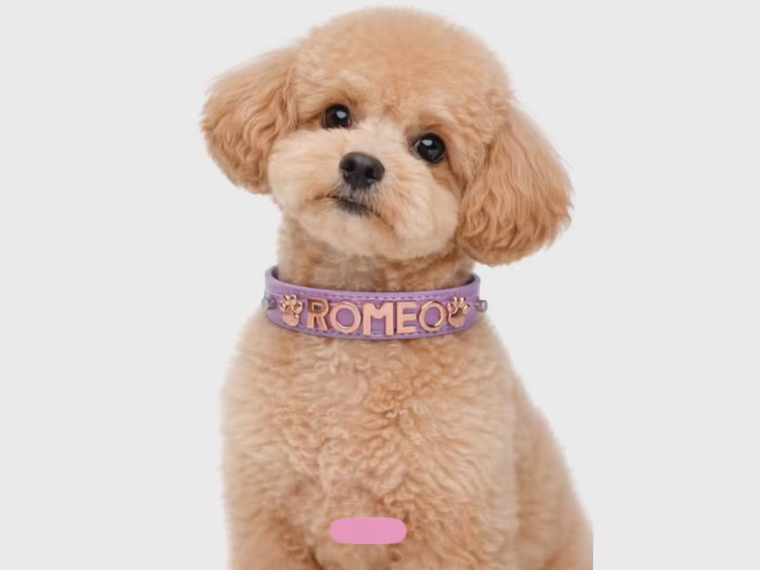 Spacedust Mauve Personalized Pet Collar