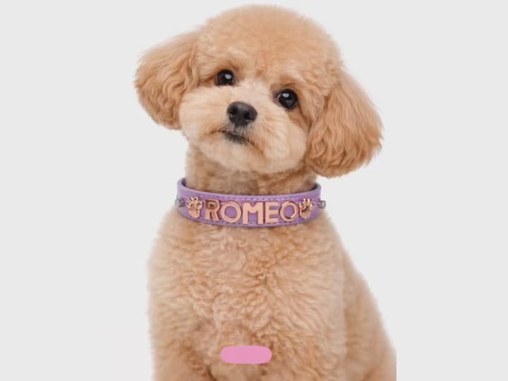 Spacedust Mauve Personalized Pet Collar