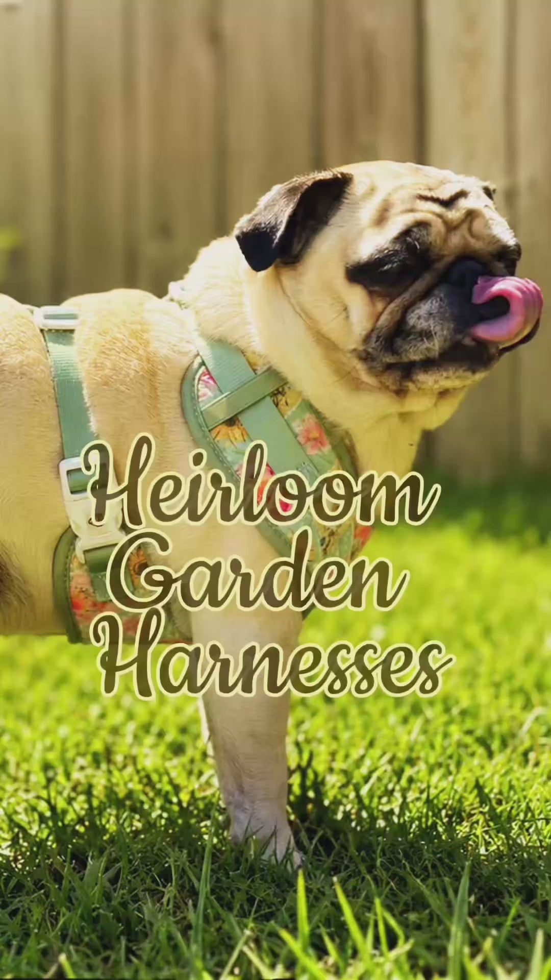 Heirloom Garden Quilted Dog Harness | Adjustable Pet Harness