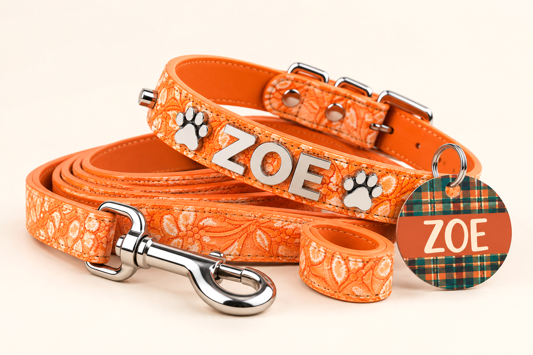 Pumpkin Spice Collar - FREE ID Tag with set purchase!