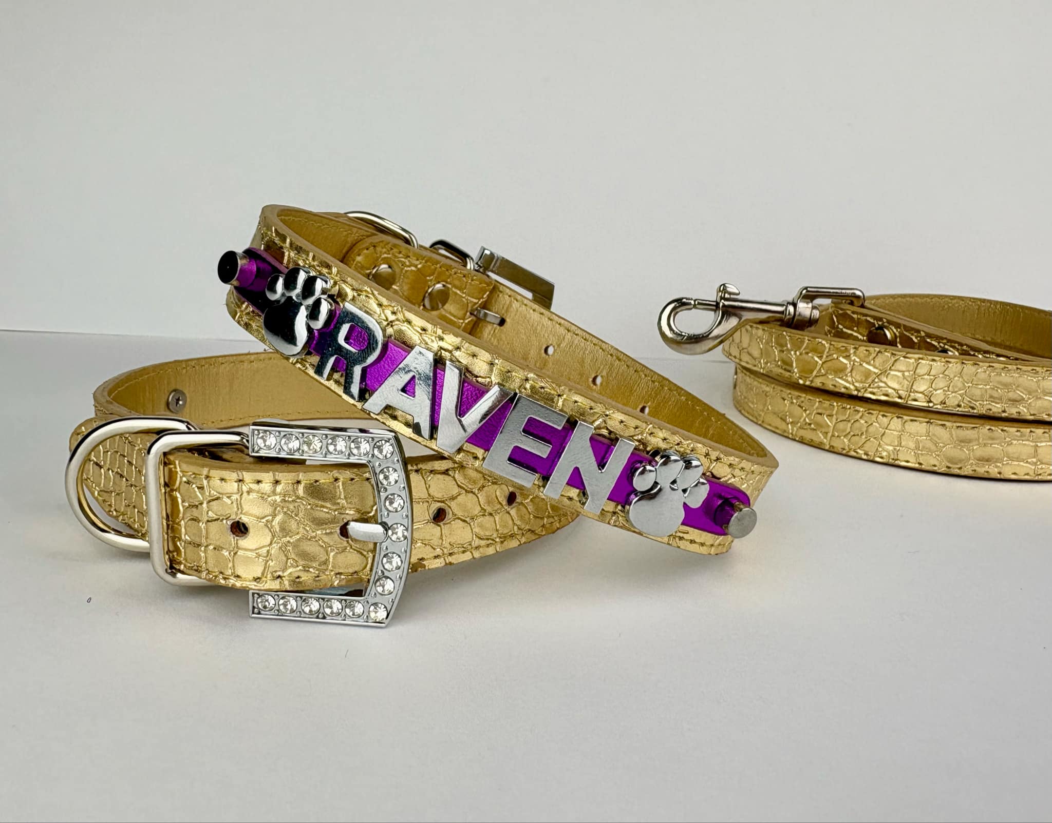 Gold Spirit Series Personalized Collar | 9 Color Options