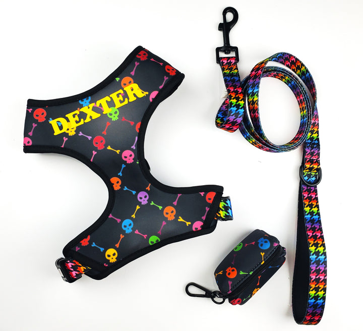 Rainbow Punk Skulls Harness