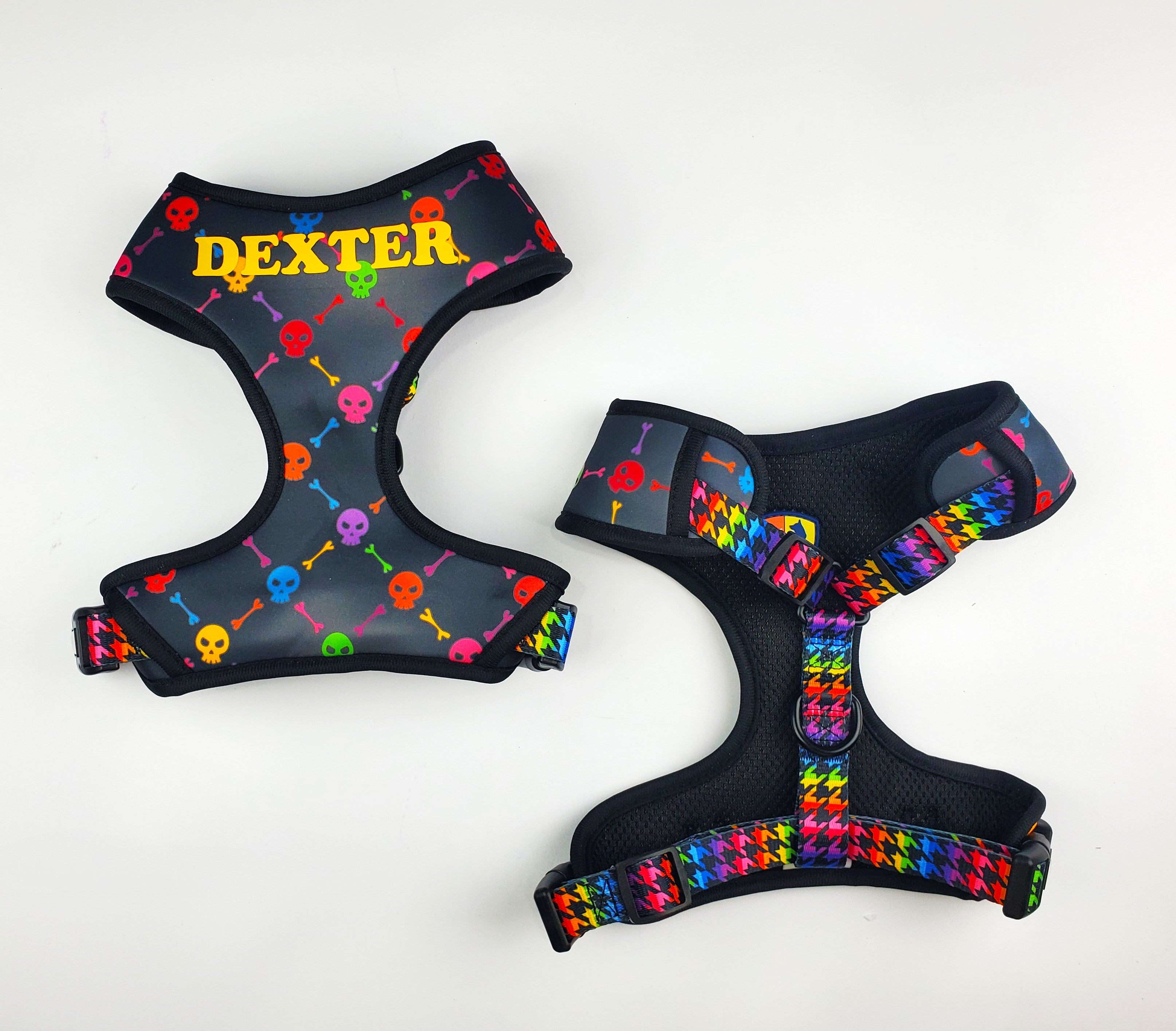 Rainbow Punk Skulls Harness