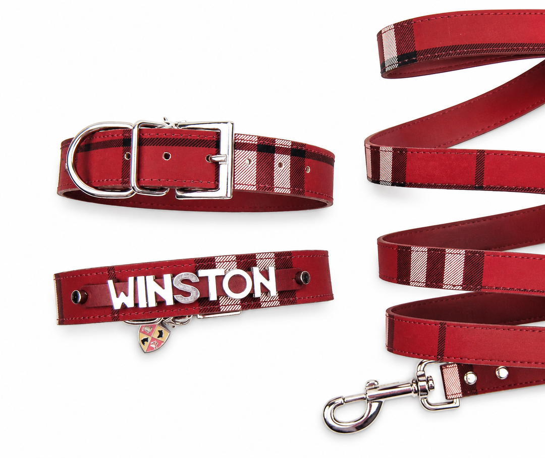 Red & Black Plaid Collar