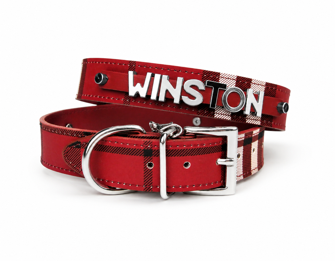 Red & Black Plaid Collar
