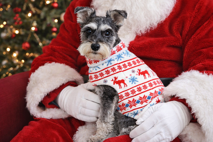 Dog Fleece | Reindeer Retro
