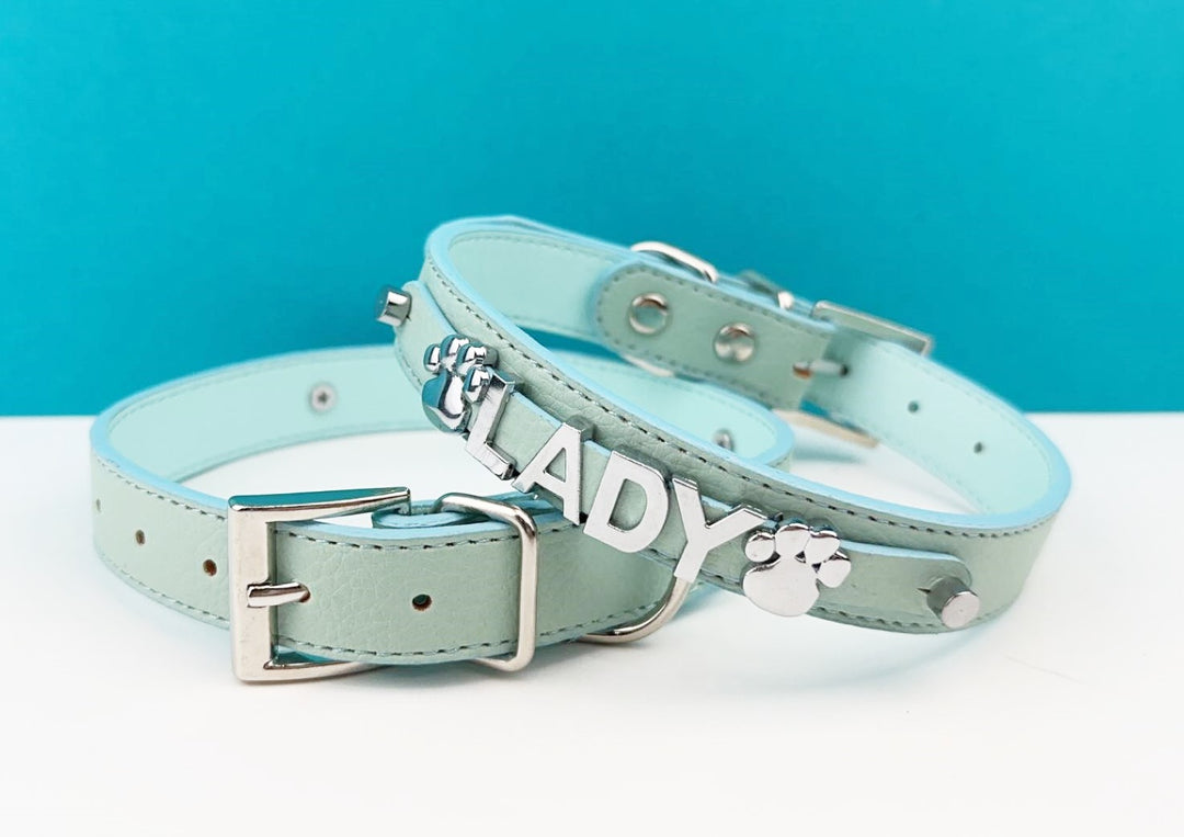 Sniffany Blue Chrome Pet Collar