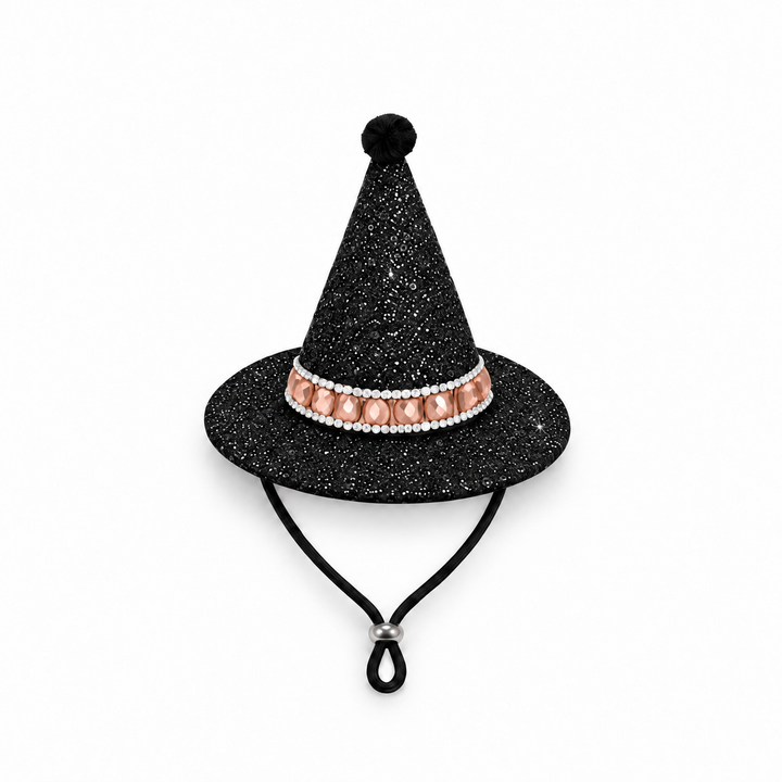 Spiderella Witch Dog Costume
