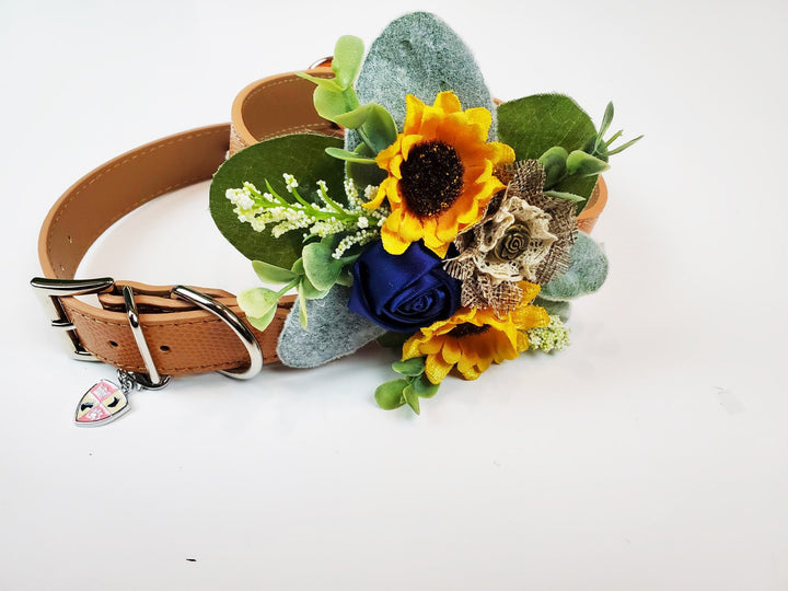 Sunflower Dog Dress | The Andalou in white lace