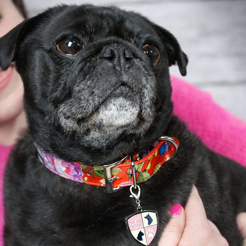 Sweet Retro Floral Personalized collar