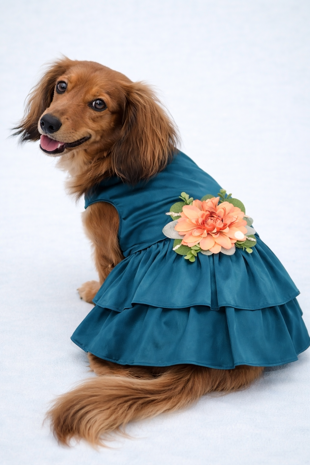 dog bridesmaid dress Dresses For Dogs Exist, So You Furry Best Friend Can Join You On Your Big Day and formal celebrations Dog Bridesmaid Outfit, Wedding Dog