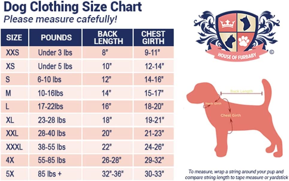 Holiday Dog Shirt | Happy Paw-nukkah