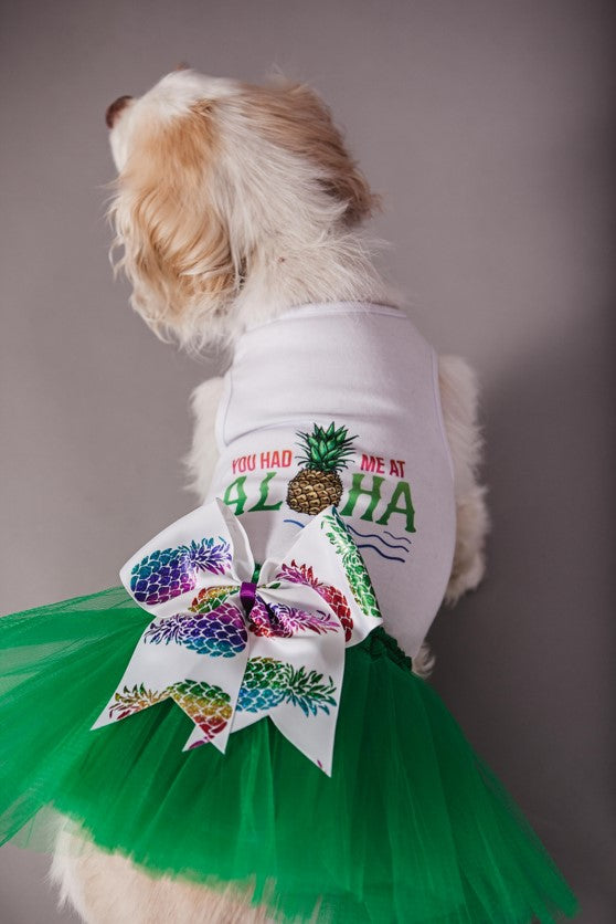 dog birthday dress Peach Block Print | For Dogs Cute dog tutu dresses for birthdays Small Dog Birthday Ballet Princess