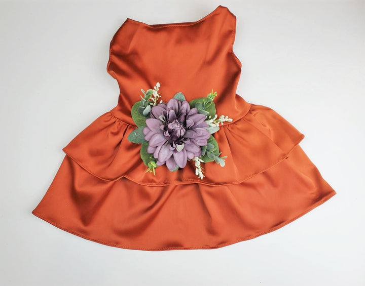 Terra Cotta Satin Dog Dress - The Bobbie