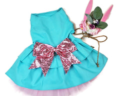 Spring Belle aqua dog dress