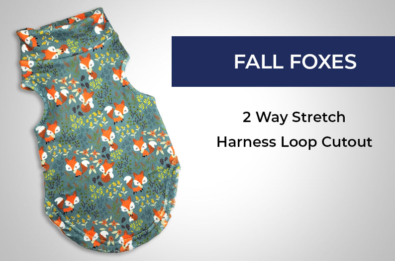 Dog Fleece | Fall Foxes