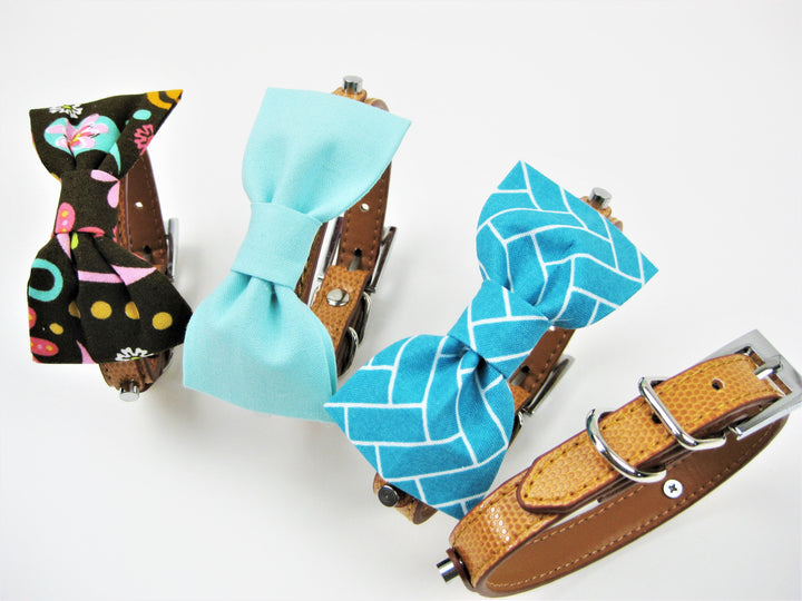 Bowtie Collar | Constant Grifter