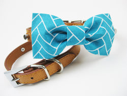 Bowtie Collar | Constant Grifter