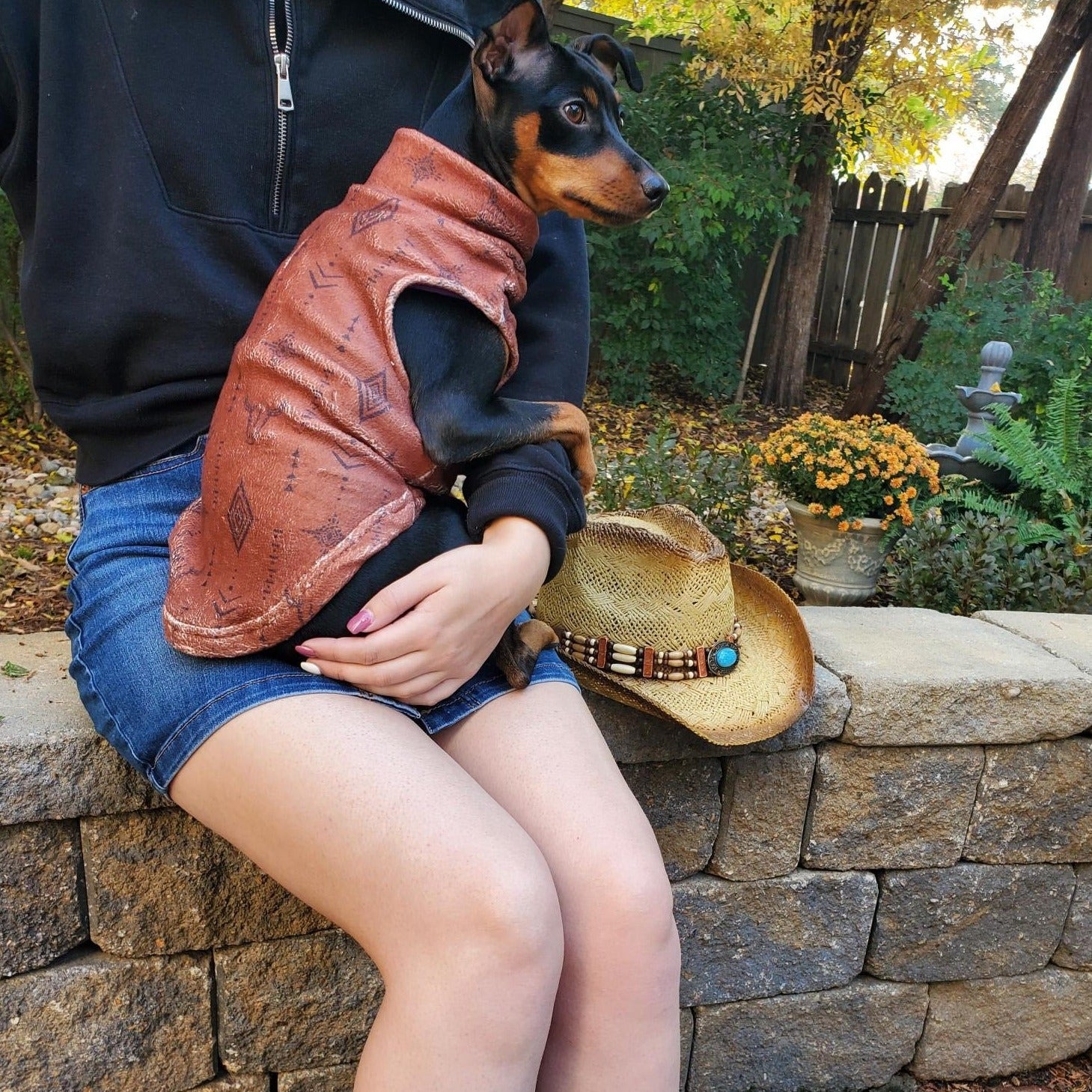 Dog Fleece | Distressed Wild West