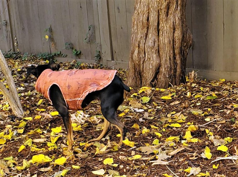 Dog Fleece | Distressed Wild West