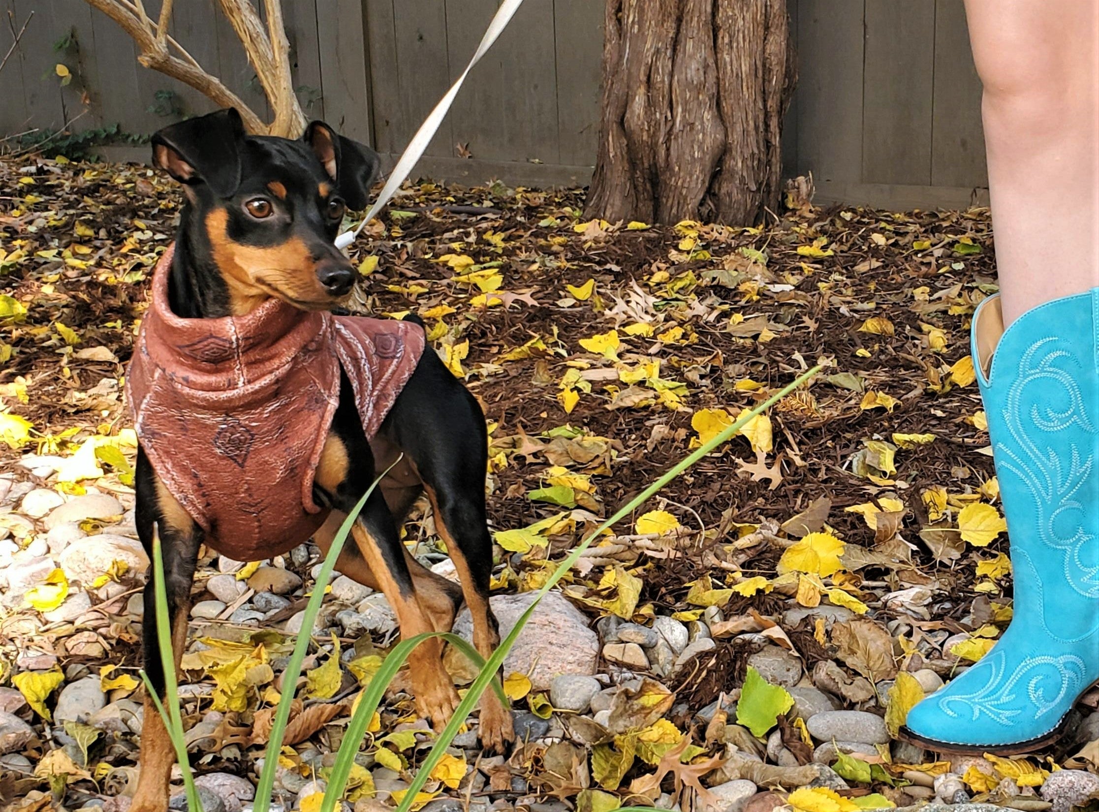 Dog Fleece | Distressed Wild West