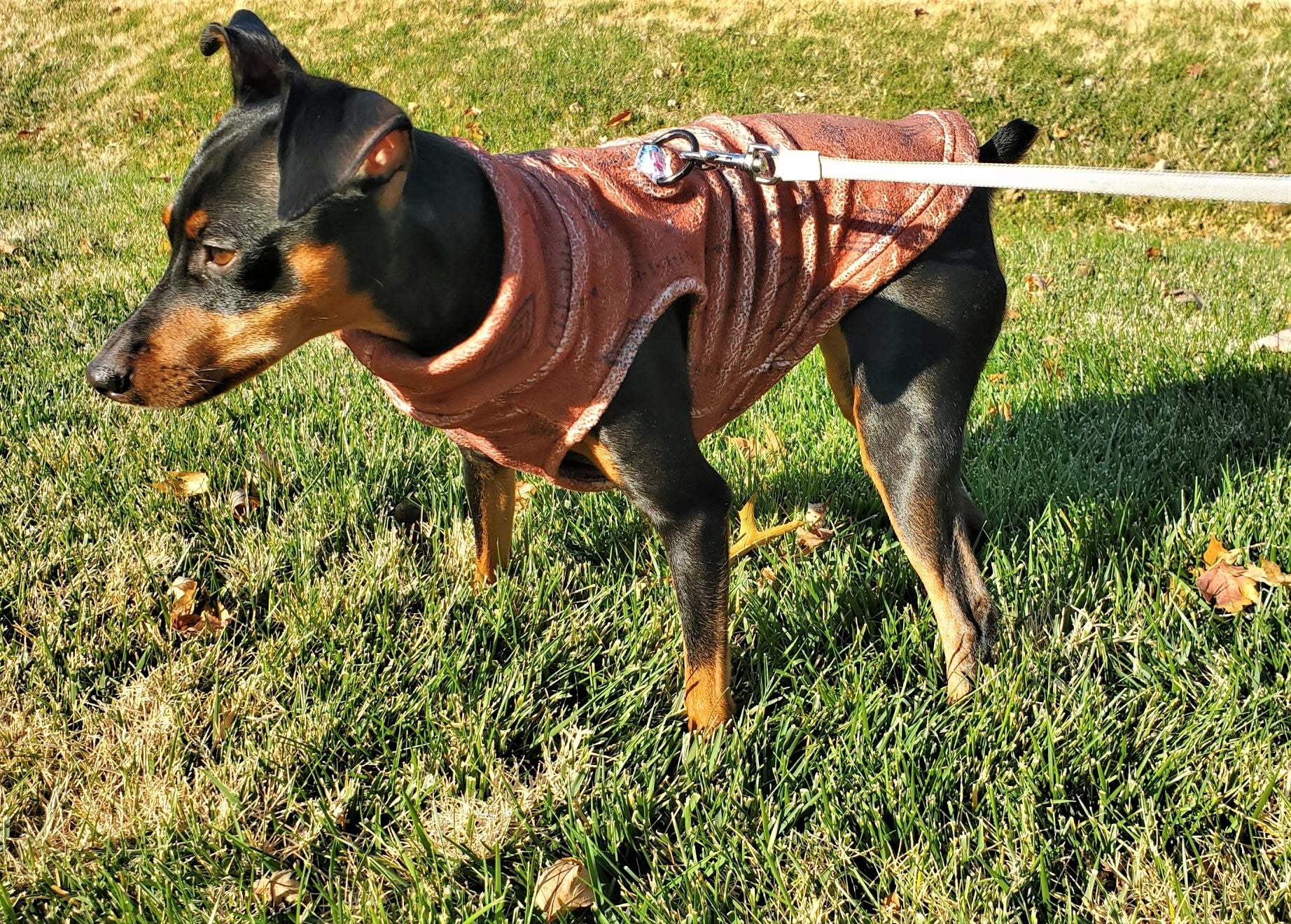 Dog Fleece | Distressed Wild West