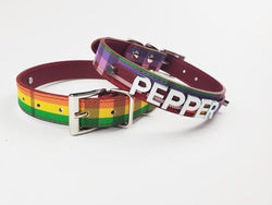Limited Edition Rainbow Plaid Collar