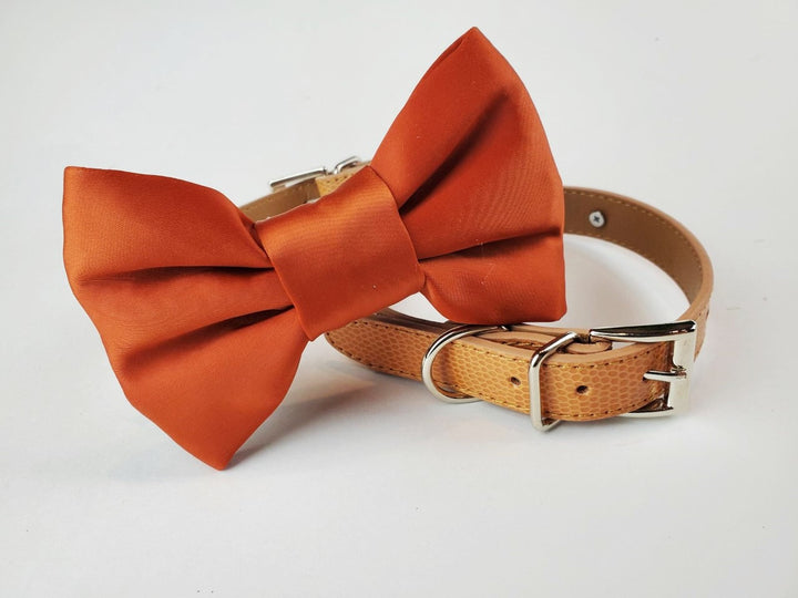 Bowtie Collar | Terracotta Satin