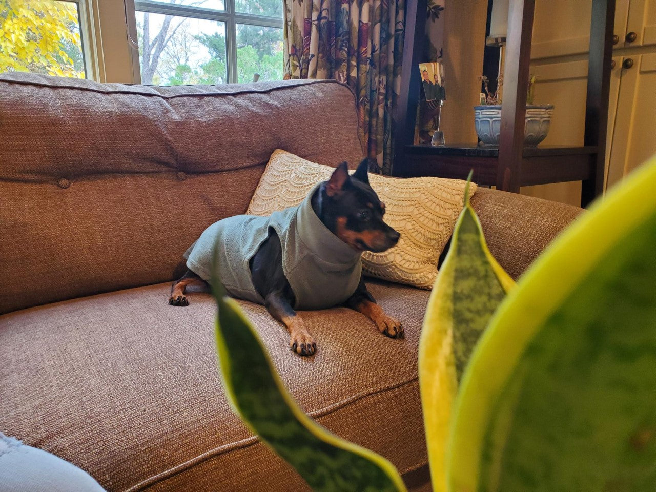 Snuggly Fleece | Sea Monster Green