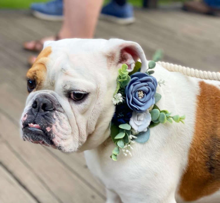Succulent Wedding Collar | Dusty Blue and Navy