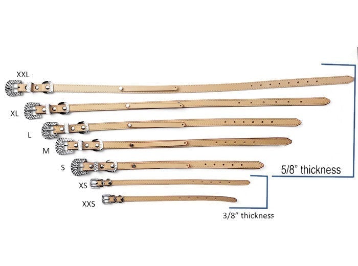 Mint croc collar with gold buckle