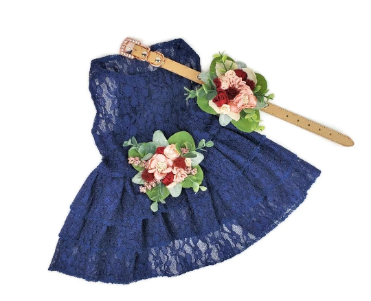 Formal Dog Dress | The Millicent