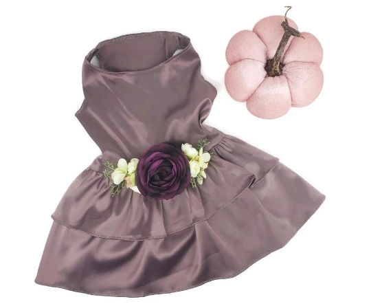 Formal Dog Dress