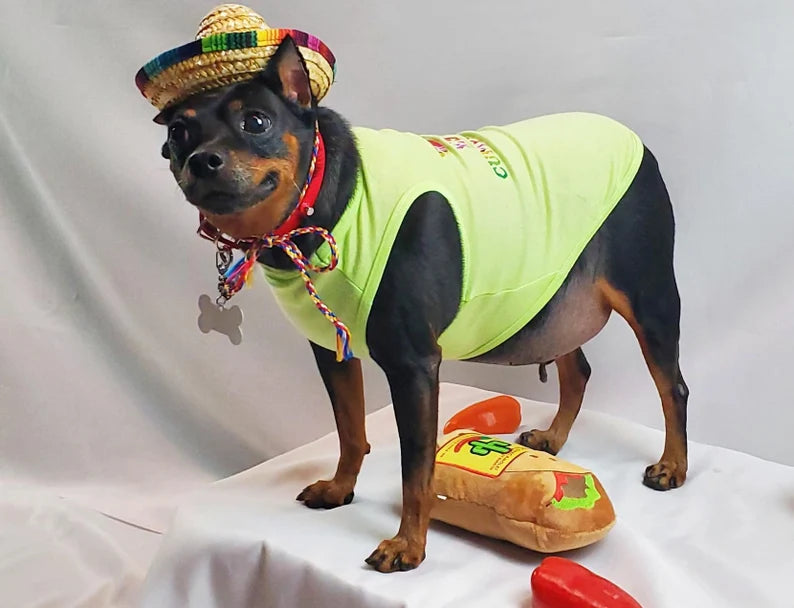 Birthday Party Package | Feliz Cumpleanos