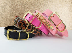 The Uptown Collection Pet Collar