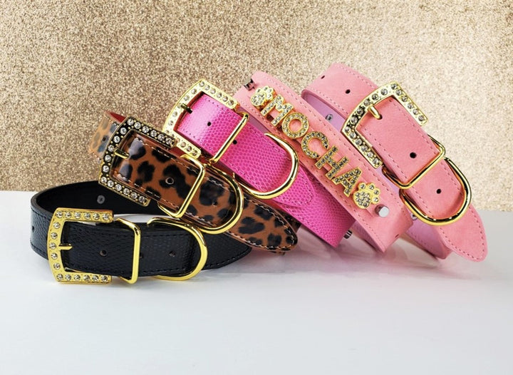 The Uptown Collection Pet Collar