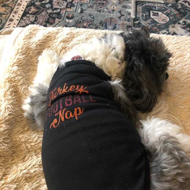 Holiday Dog Shirt | Turkey Football Nap