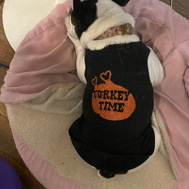 Holiday Dog Shirt | Turkey Time