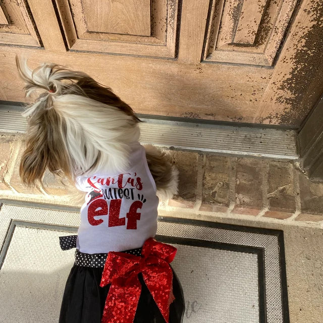 Santa's Cutest Elf costume