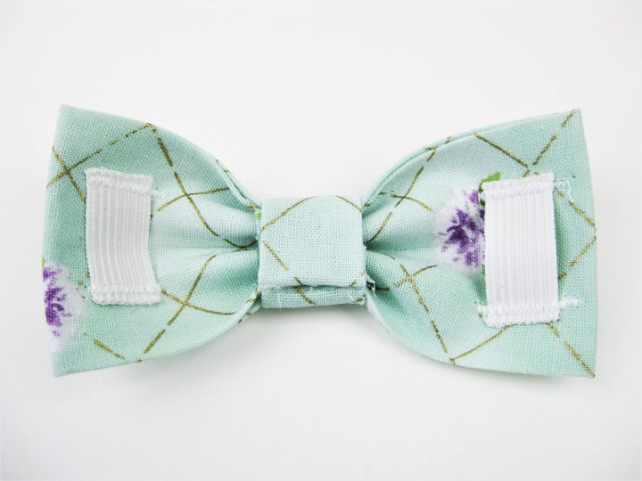 Bowtie Collar | Candy Cane