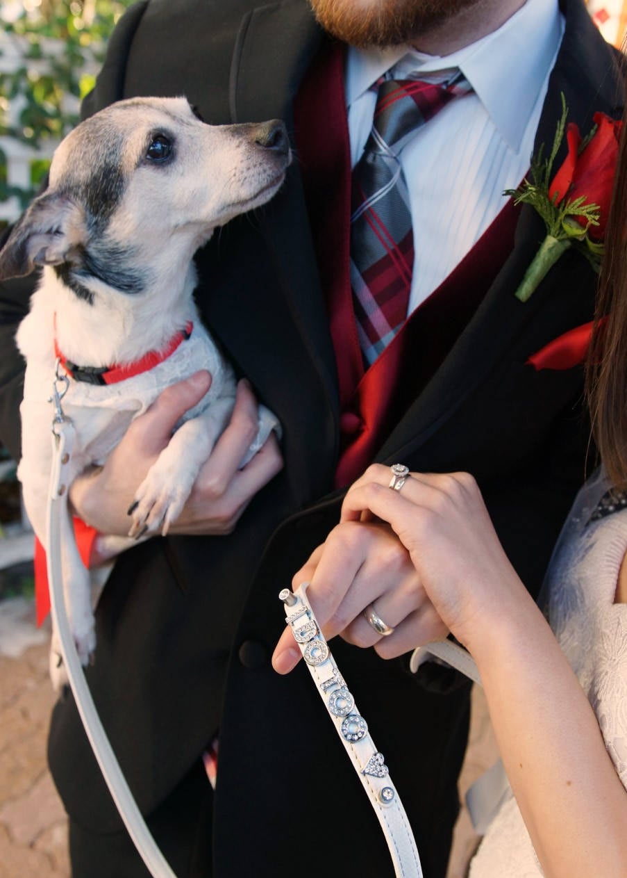 Wedding Dog Leash | Beige & Ivory with Rose Gold