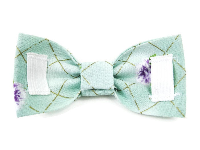Bowtie Collar | Black, Red, and Gold Stripe