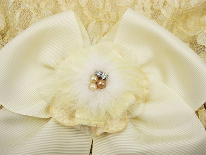 Formal Dog Dress | The Ivory and Candlelight