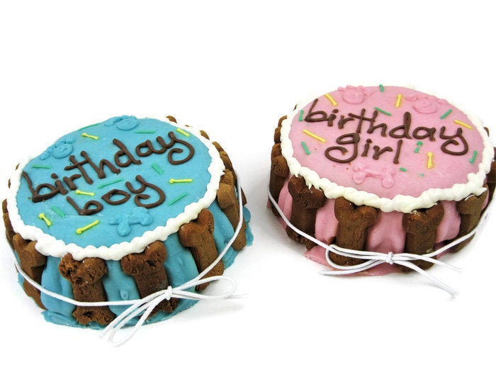 Birthday Boy | Dog Cake