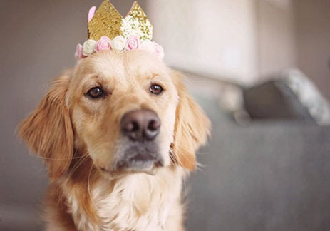 Birthday Party Package | Pink Glitter Girl